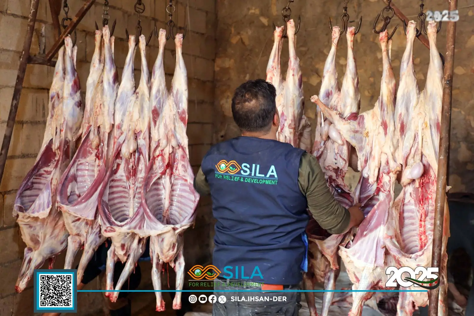 Distribution of sacrificial animals on the first day of Eid al-Adha